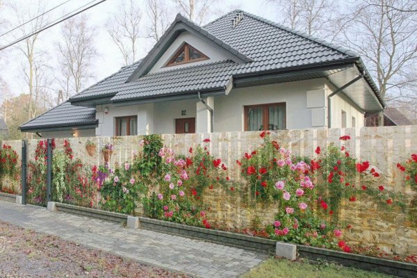 Не могу зайти в кракен