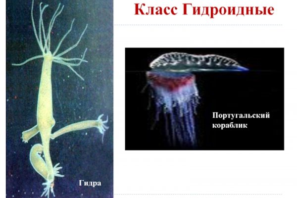 Kraken market3