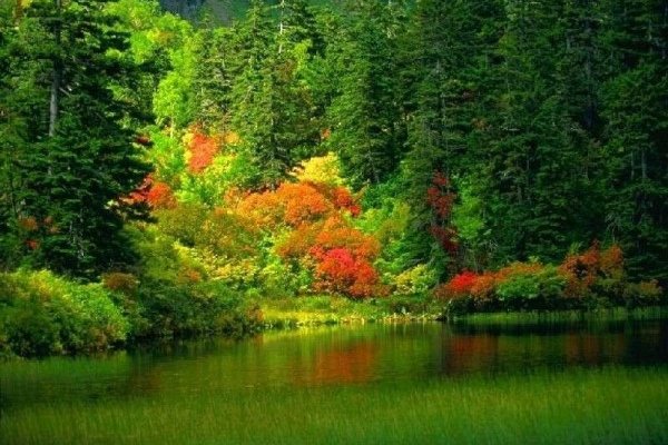 При входе на пишет вы забанены
