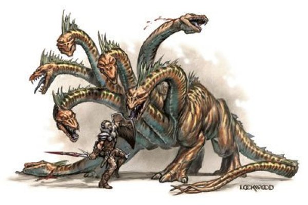 Kraken актуальное