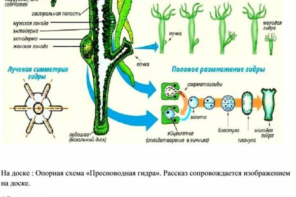 Кракен сайт что будет если зайти