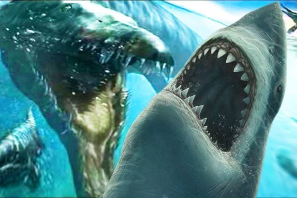 Kraken даркнет что это